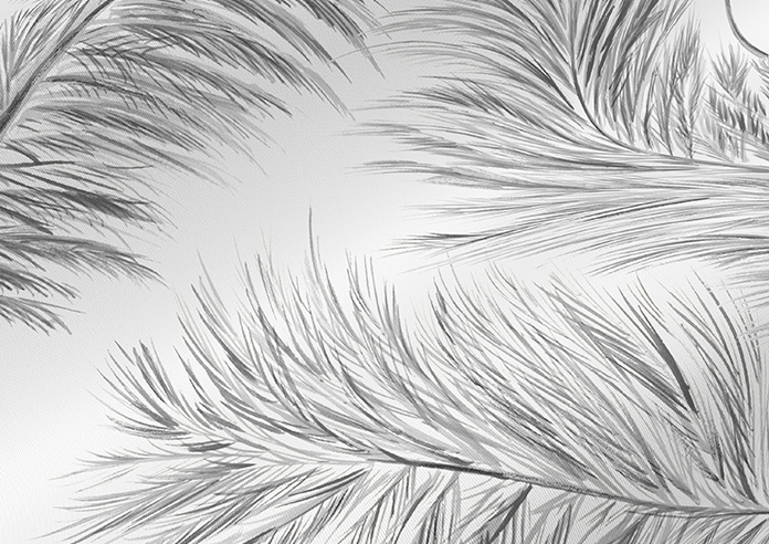 Pampas Grass, Breeze - Roller Blind - Image 4